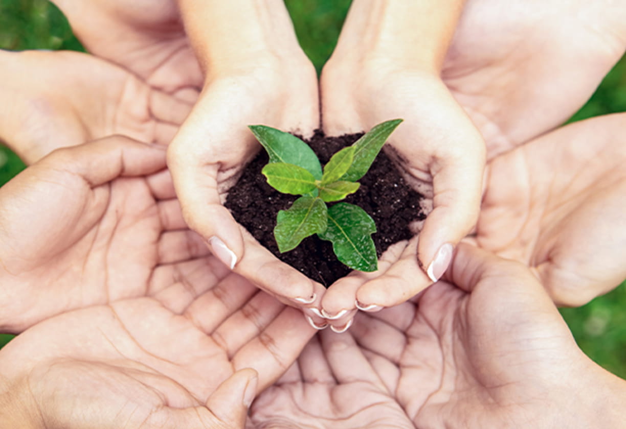 ご支援のお願い