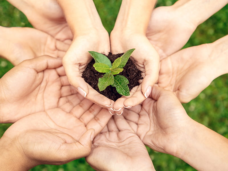 ご支援のお願い